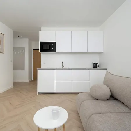 Apartment Braniborska 61 *